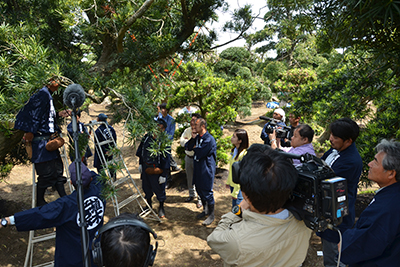 匝瑳市植木組合がNHKで紹介 植木・盆栽