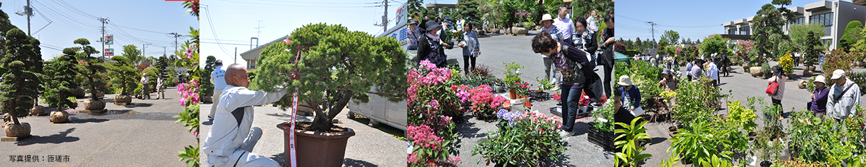 匝瑳市植木まつり　匝瑳市植木組合